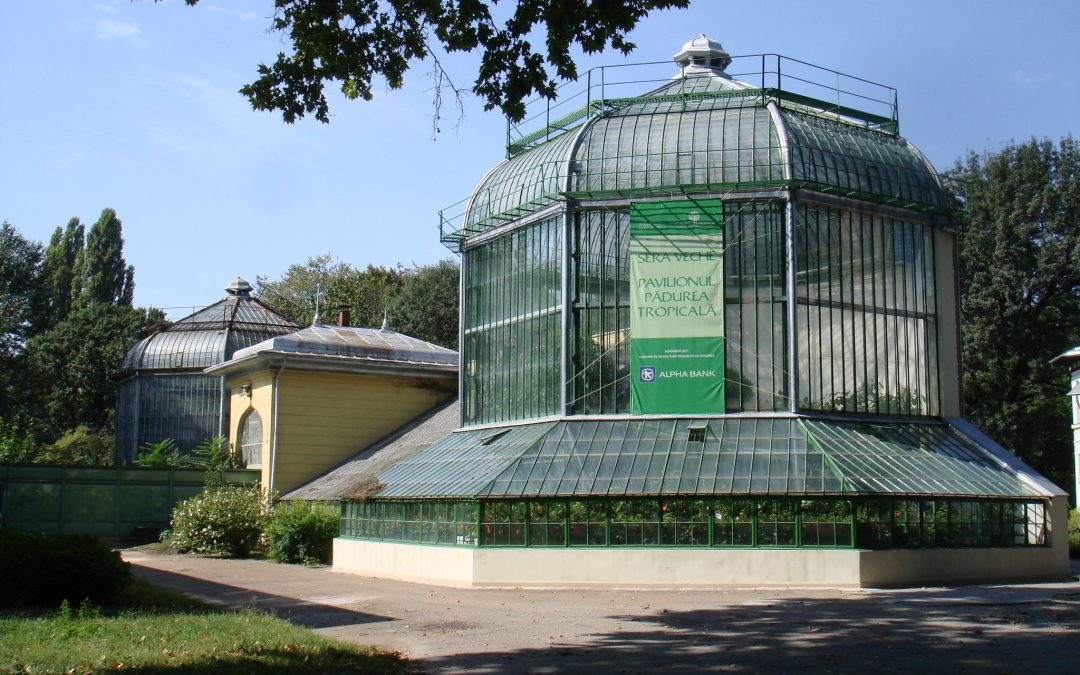Gradina Botanica Dimitrie Brandza